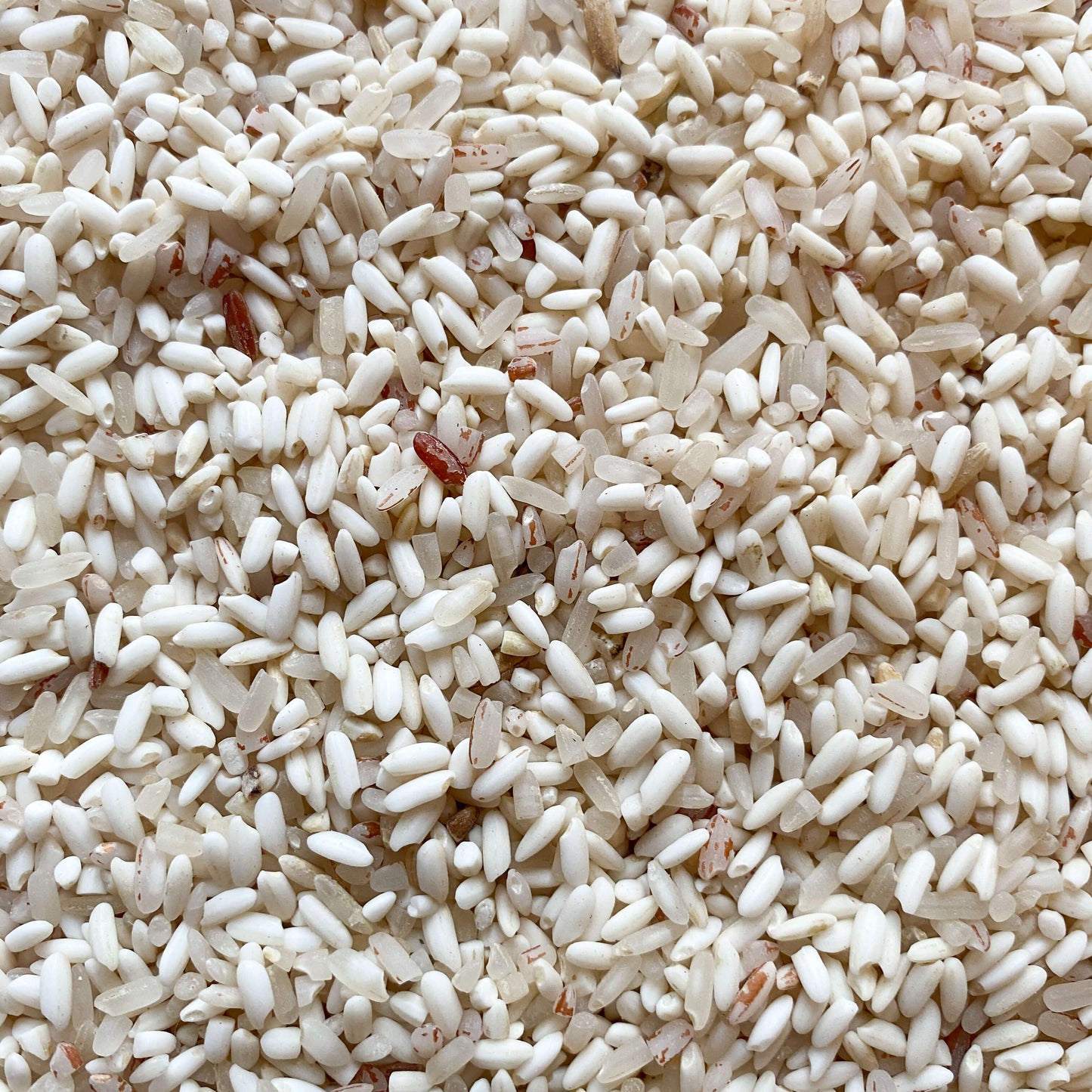 Binni Rice Flour