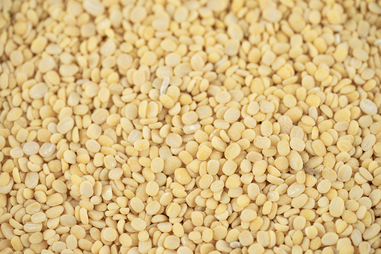 Choiti Mung Daal