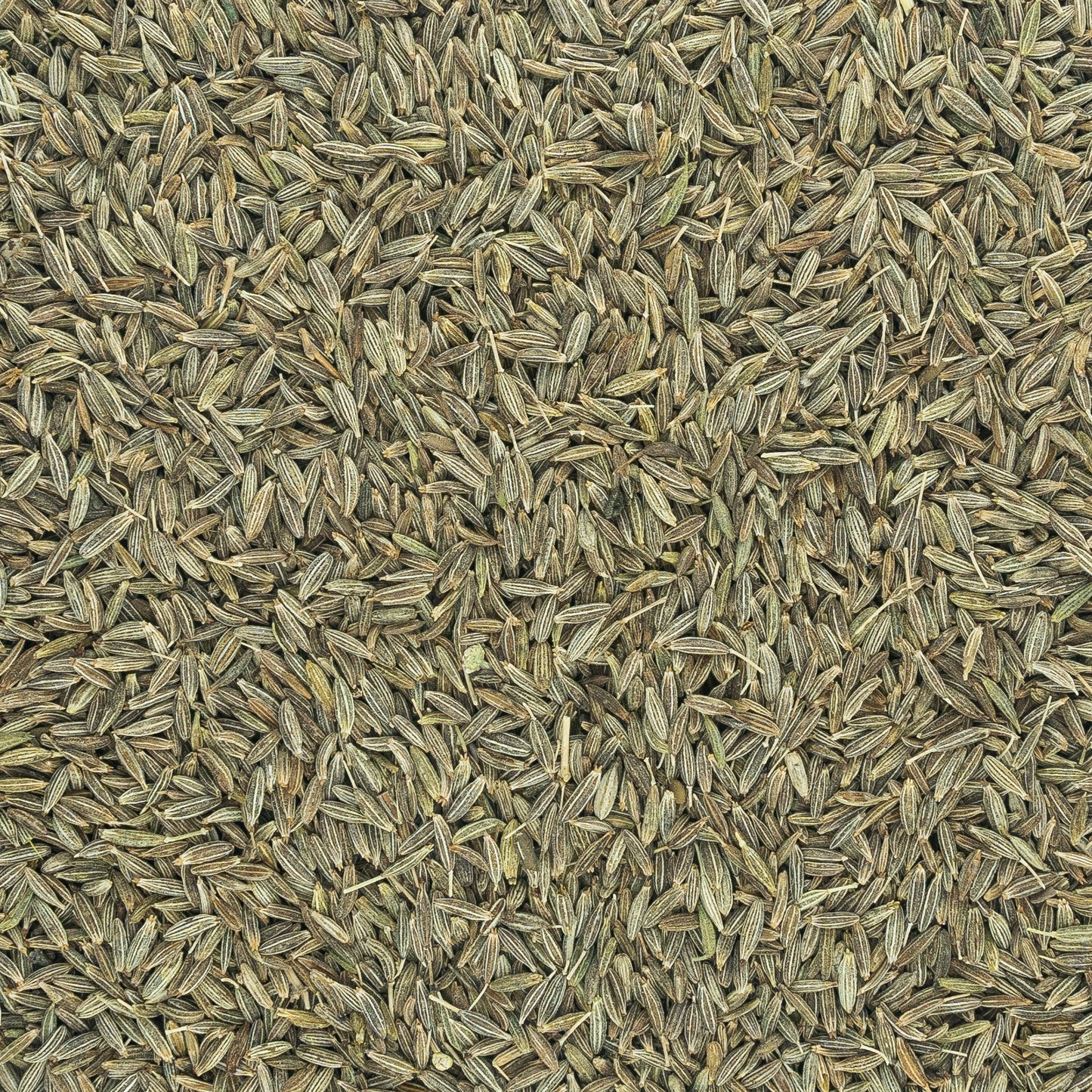 Cumin from Gujarat - whole