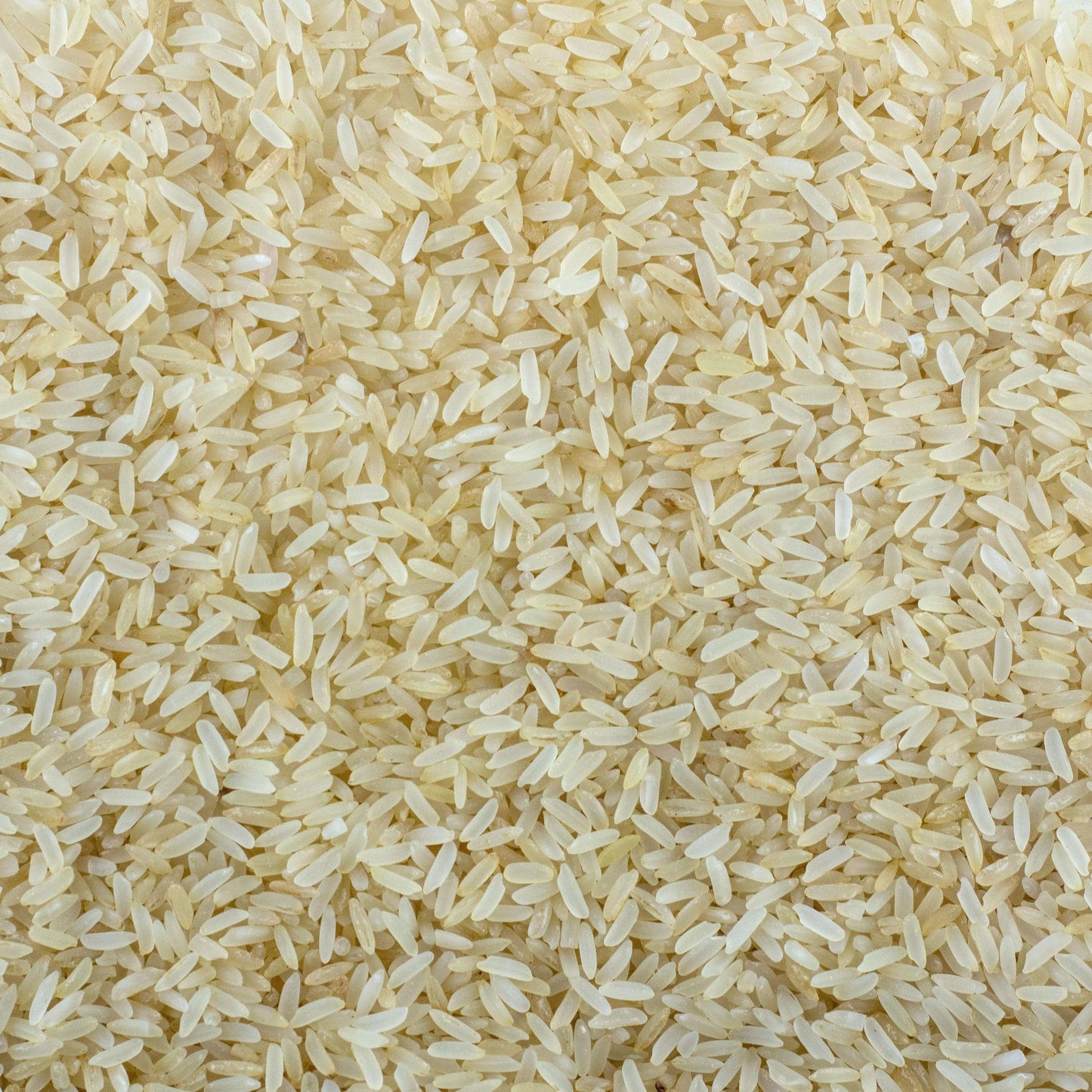 Daadkhani