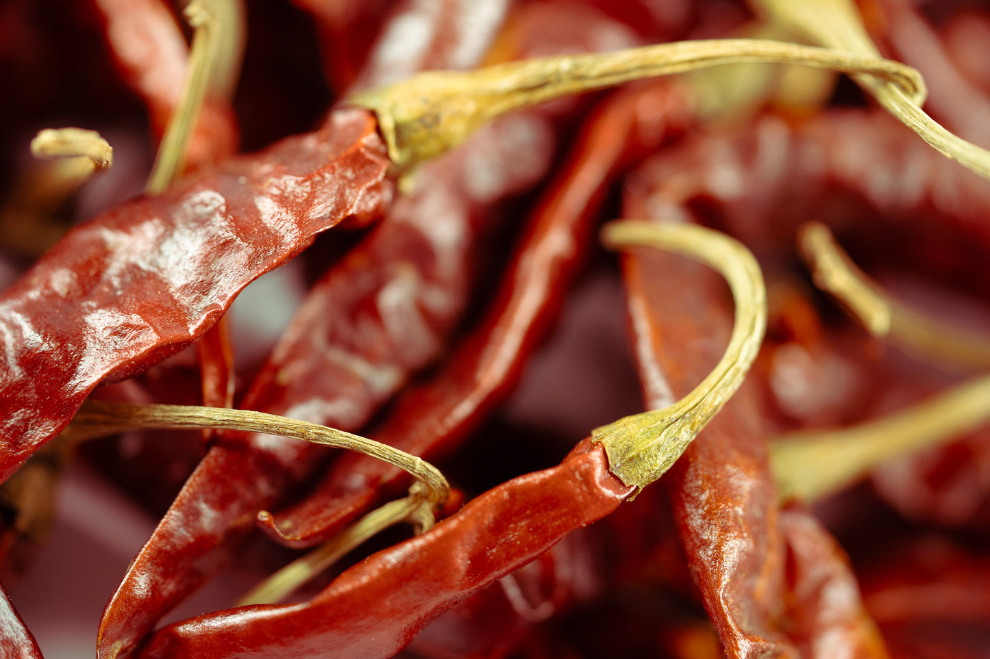 Dried Red Chilli from Nadia - whole