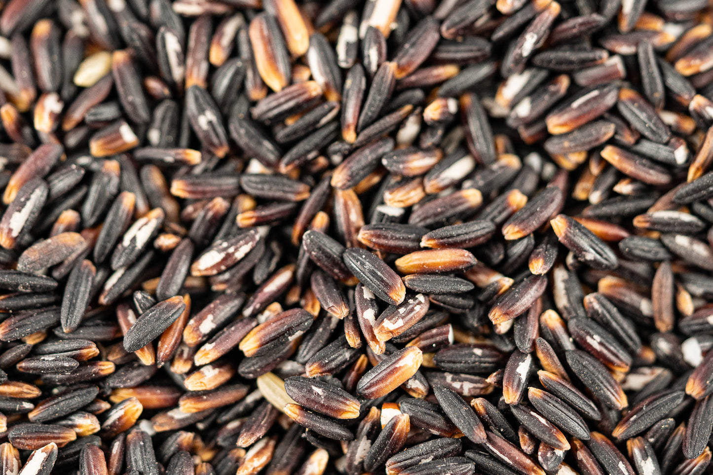 Fine Black Rice