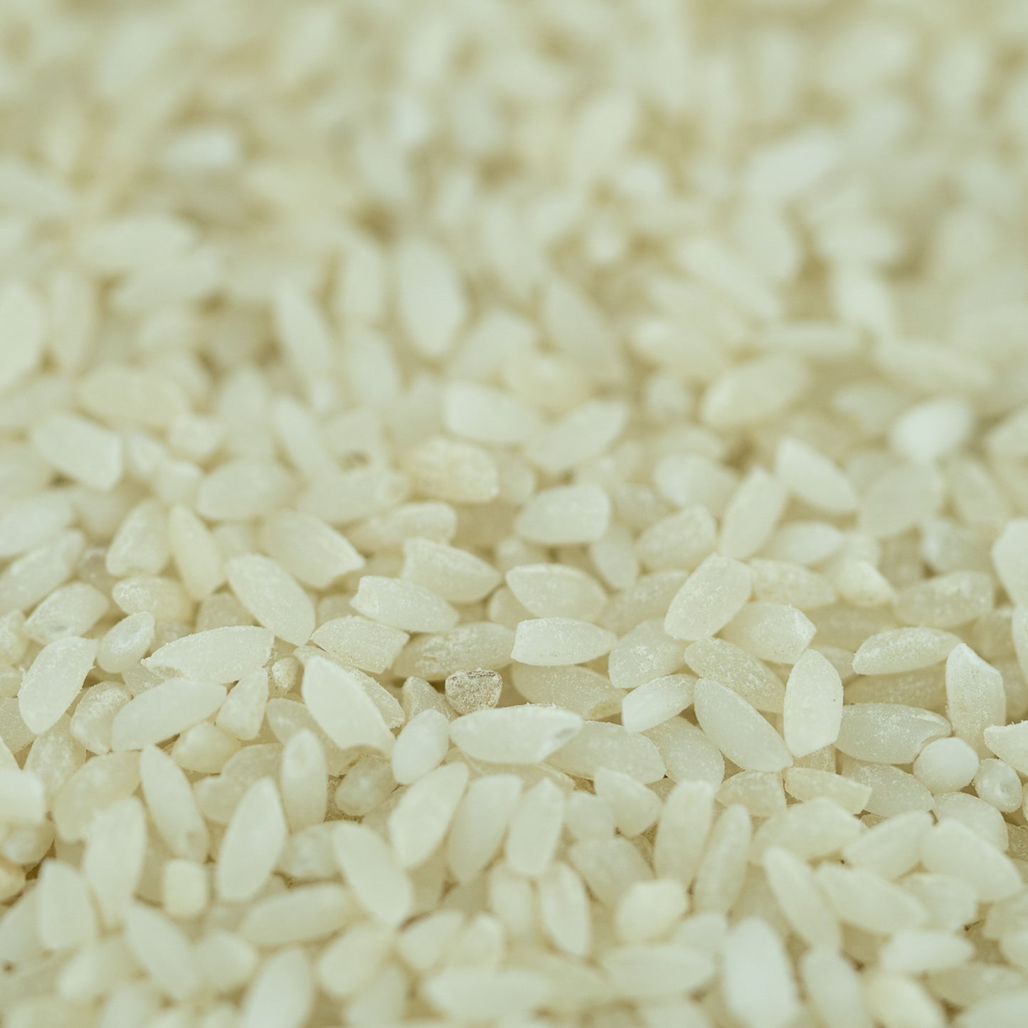 Gobindobhog from Sundarbans - atap