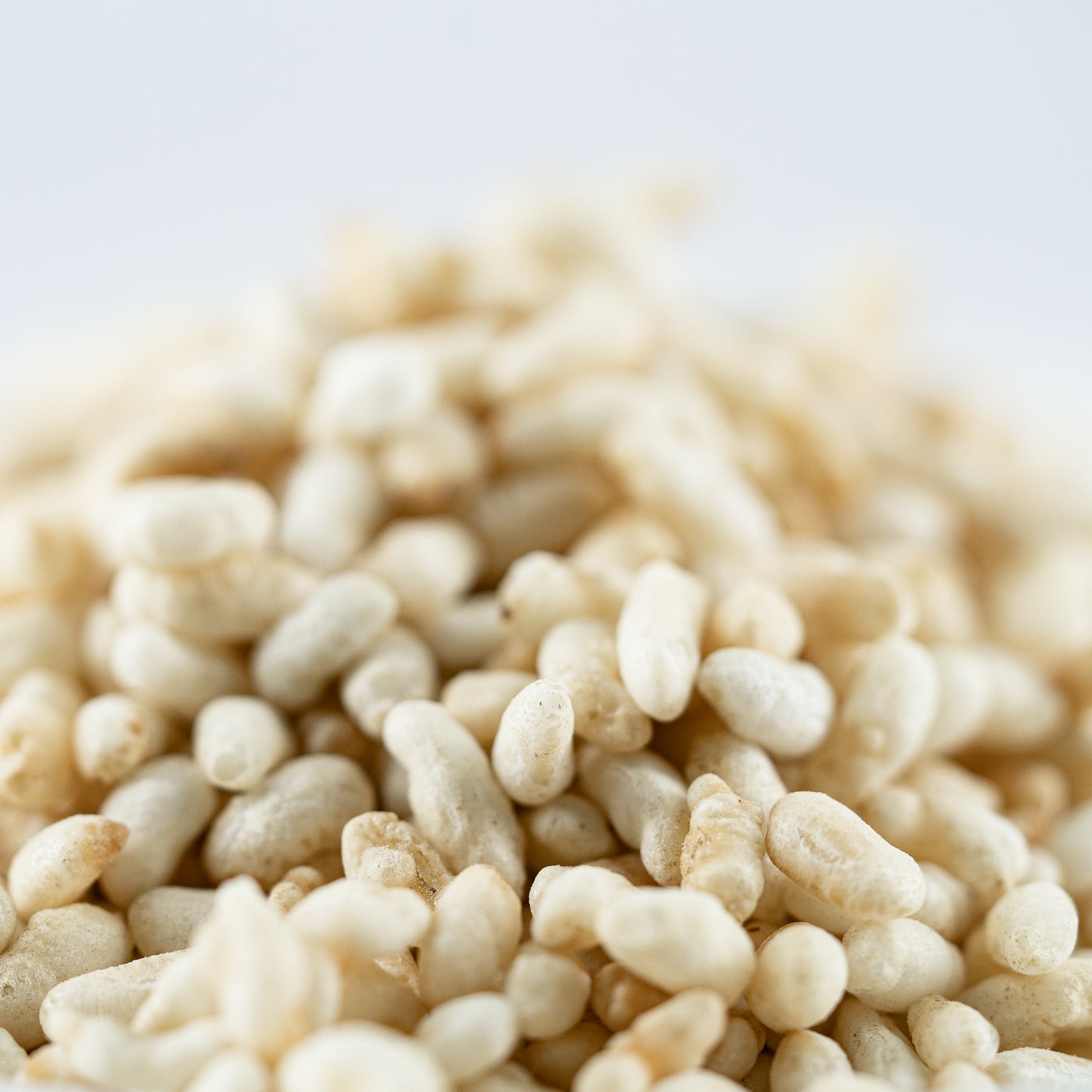 Muri from Gheus rice