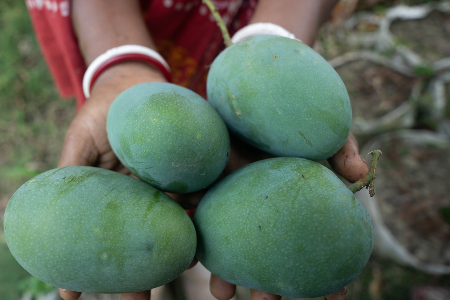 Aam Moshla