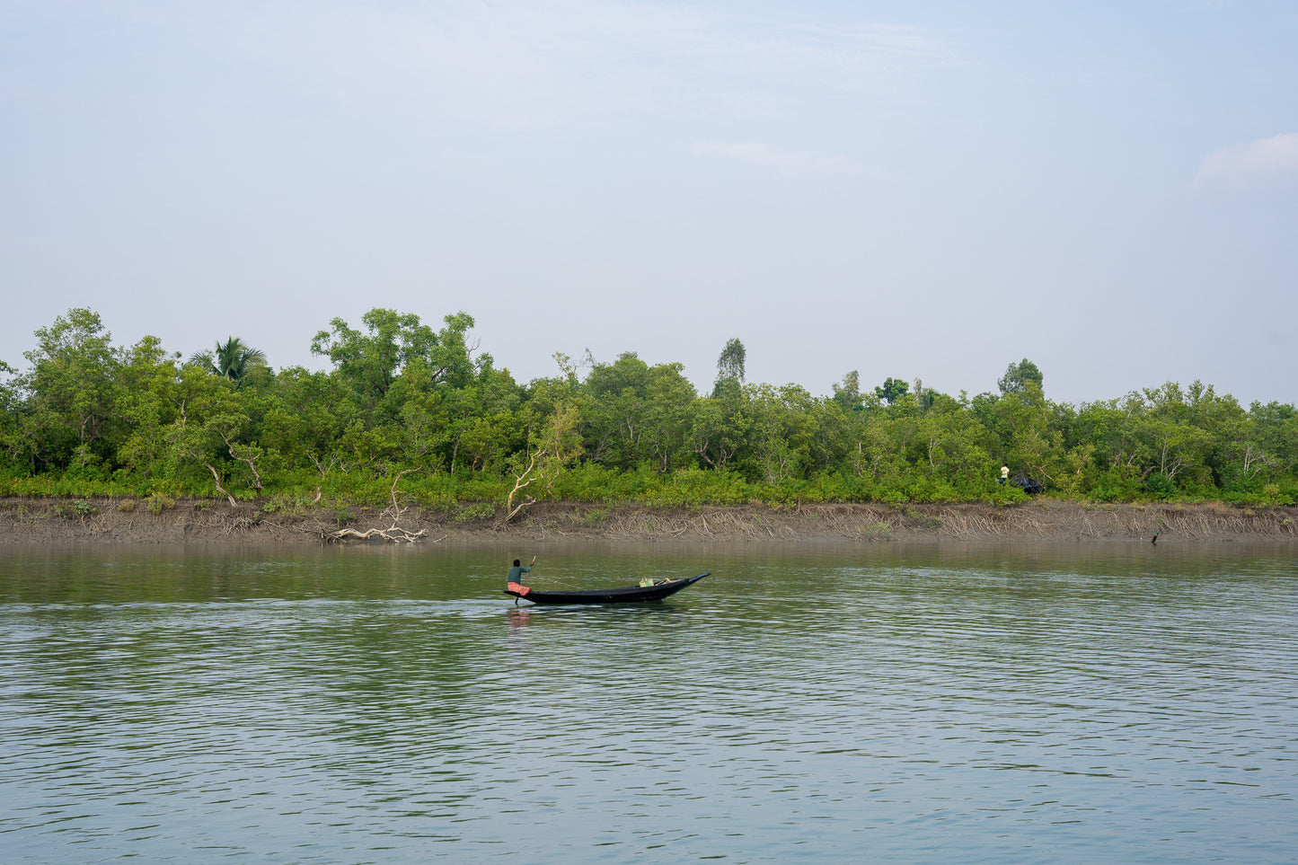 Sundarbans Honey