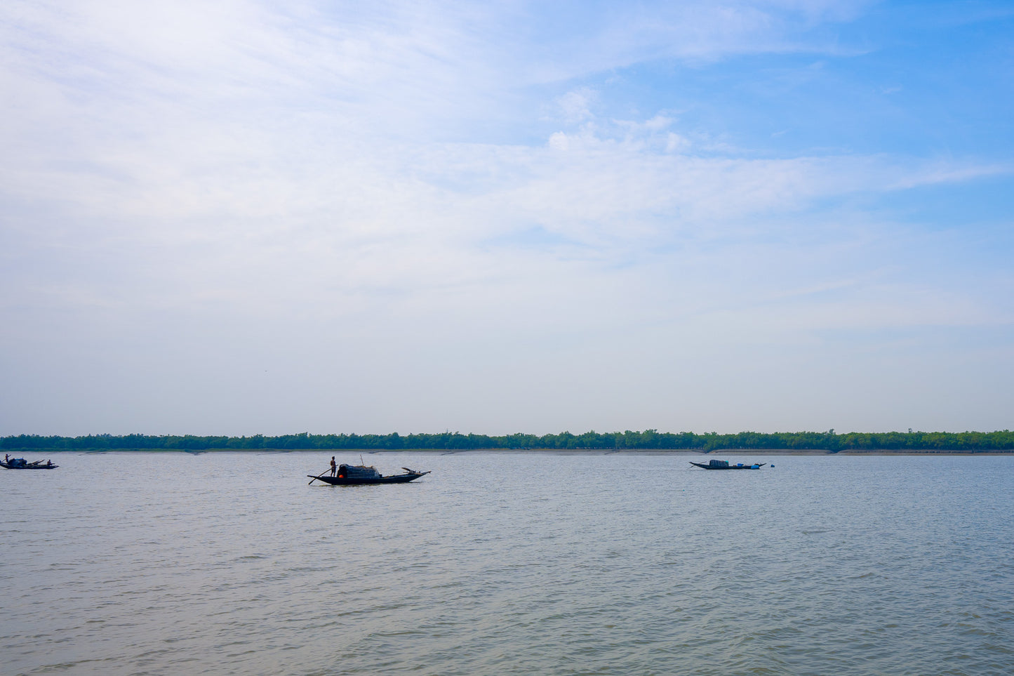 Sundarbans Honey