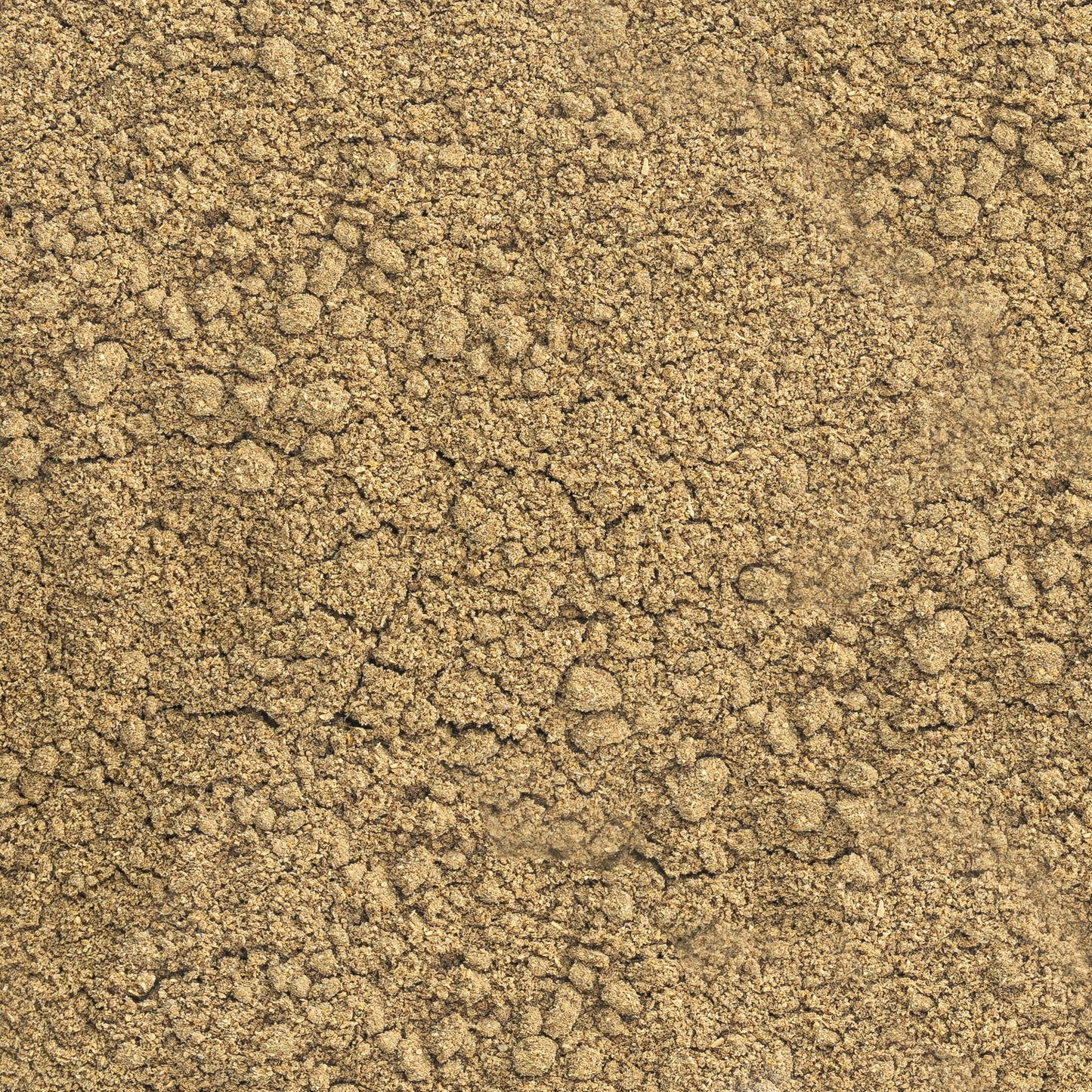 Cumin from Gujarat - powder