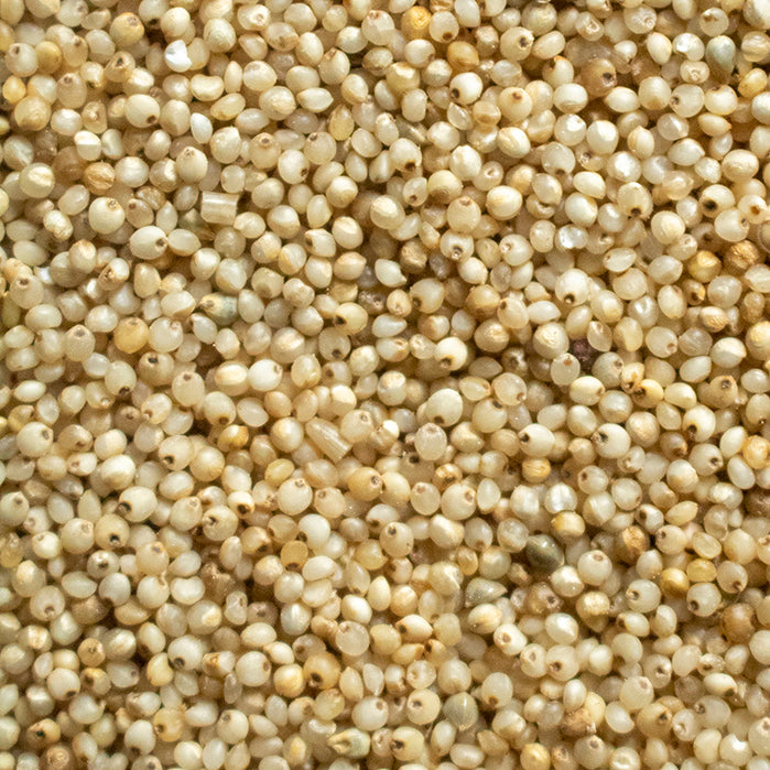 Barnyard Millet