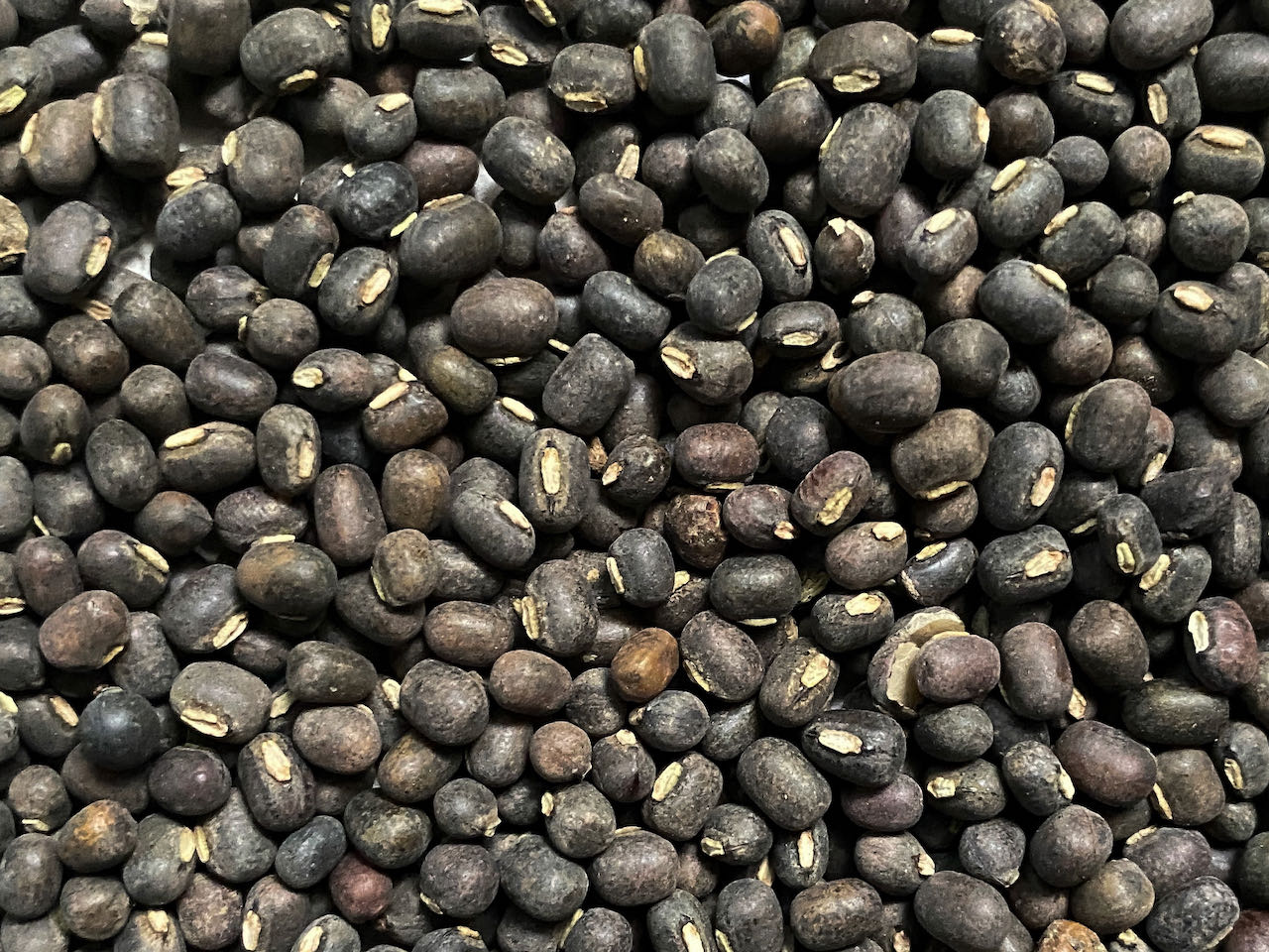 Whole Black Gram