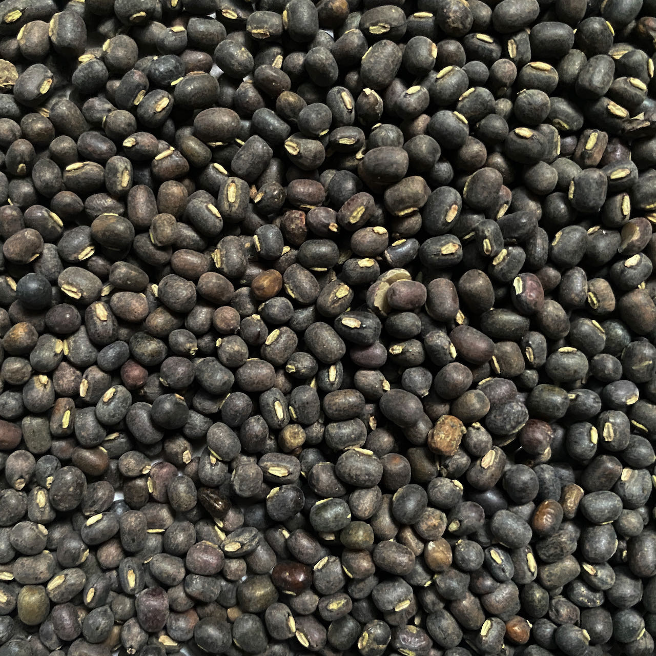 Whole Black Gram