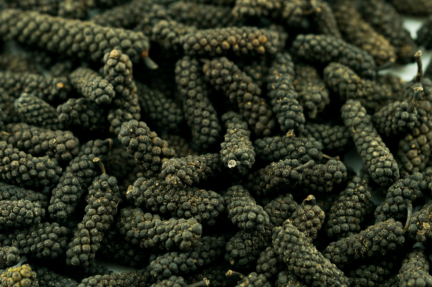 Pipul - long pepper