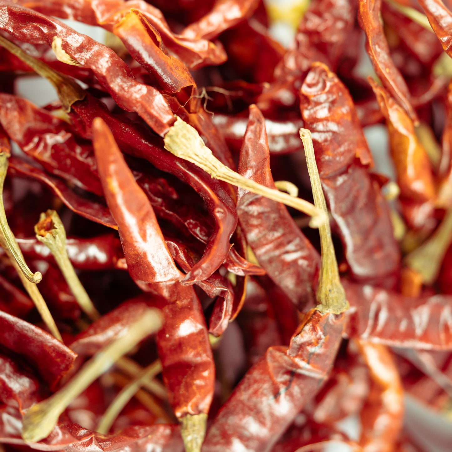 Dried Red Chilli from Nadia - whole
