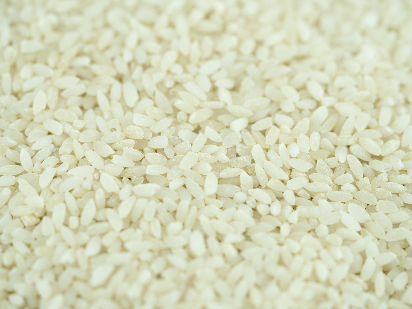 Gobindobhog from Sundarbans - atap