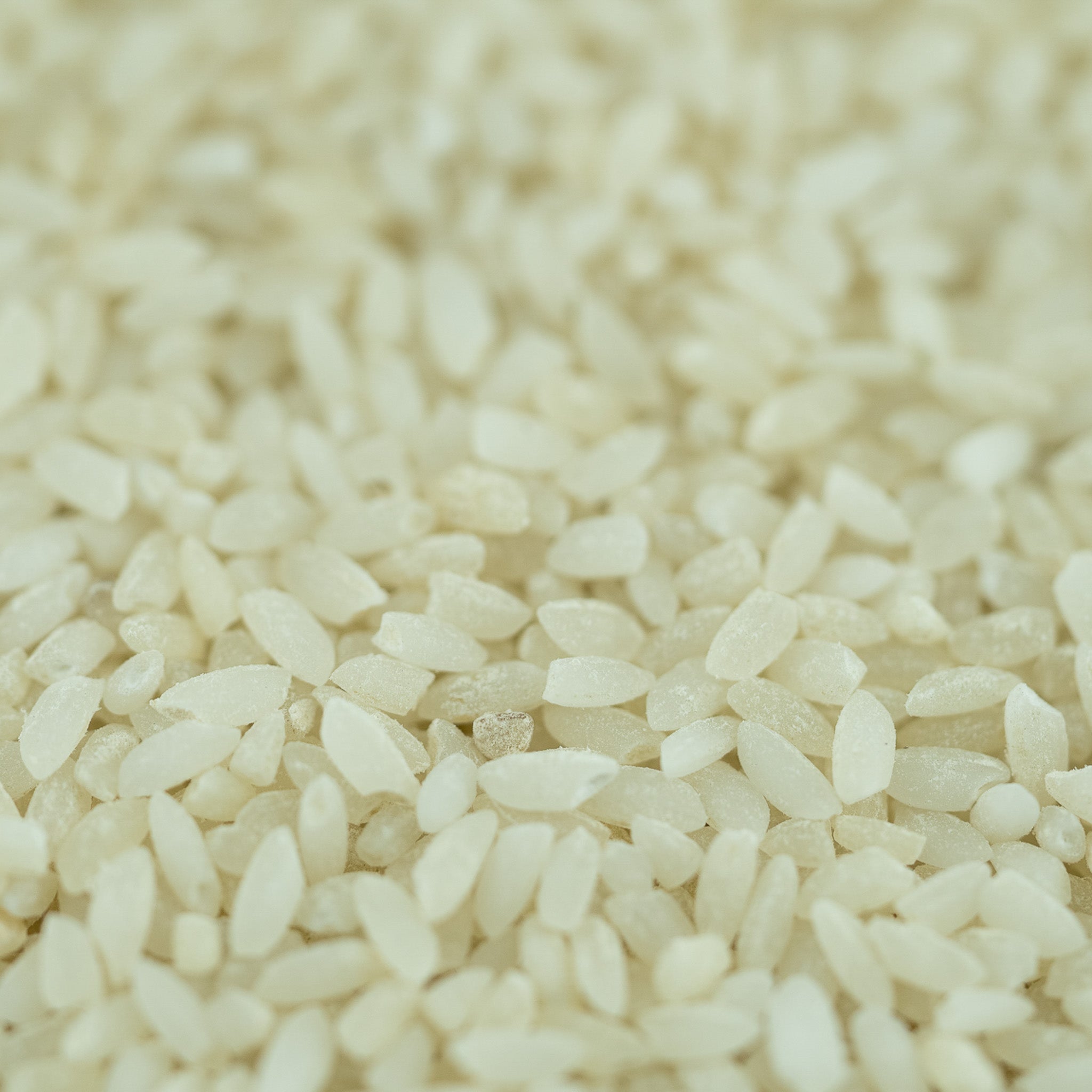 Gobindobhog Rice – amar khamar