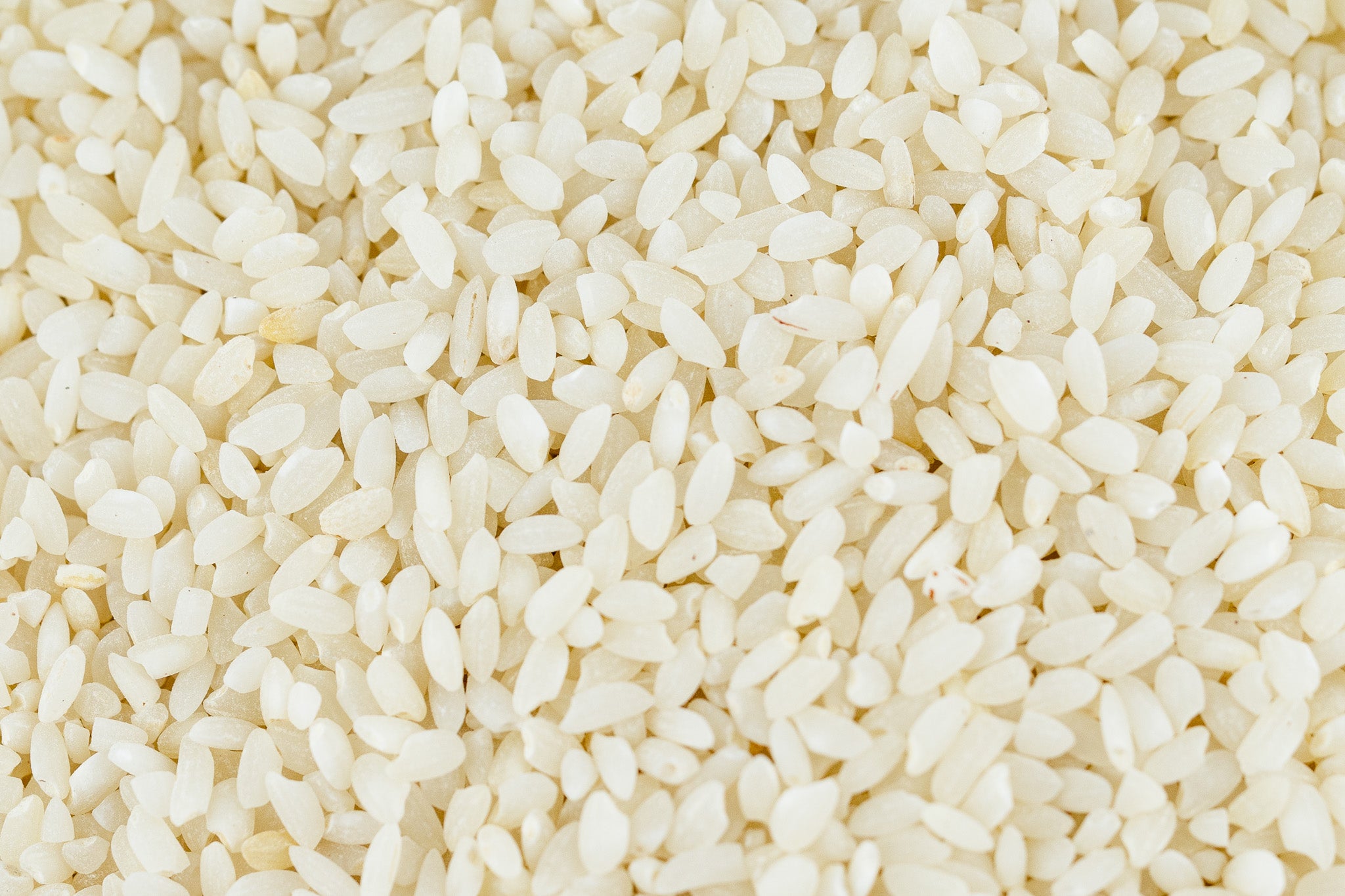 Kamini Rice – amar khamar