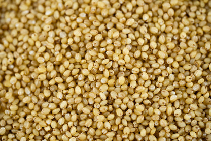 Kaon - Foxtail Millet