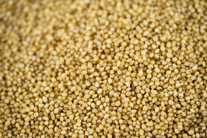 Kaon - Foxtail Millet