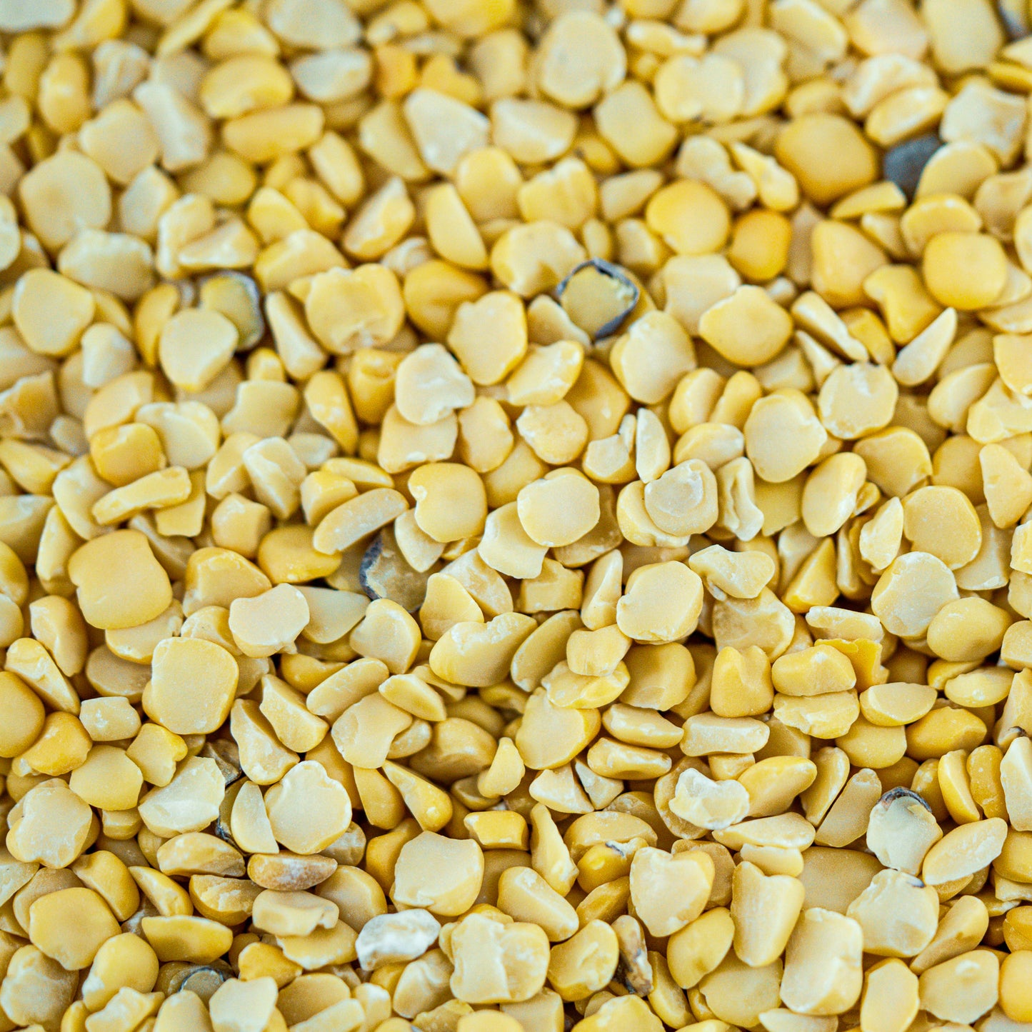 Khyasari Dal