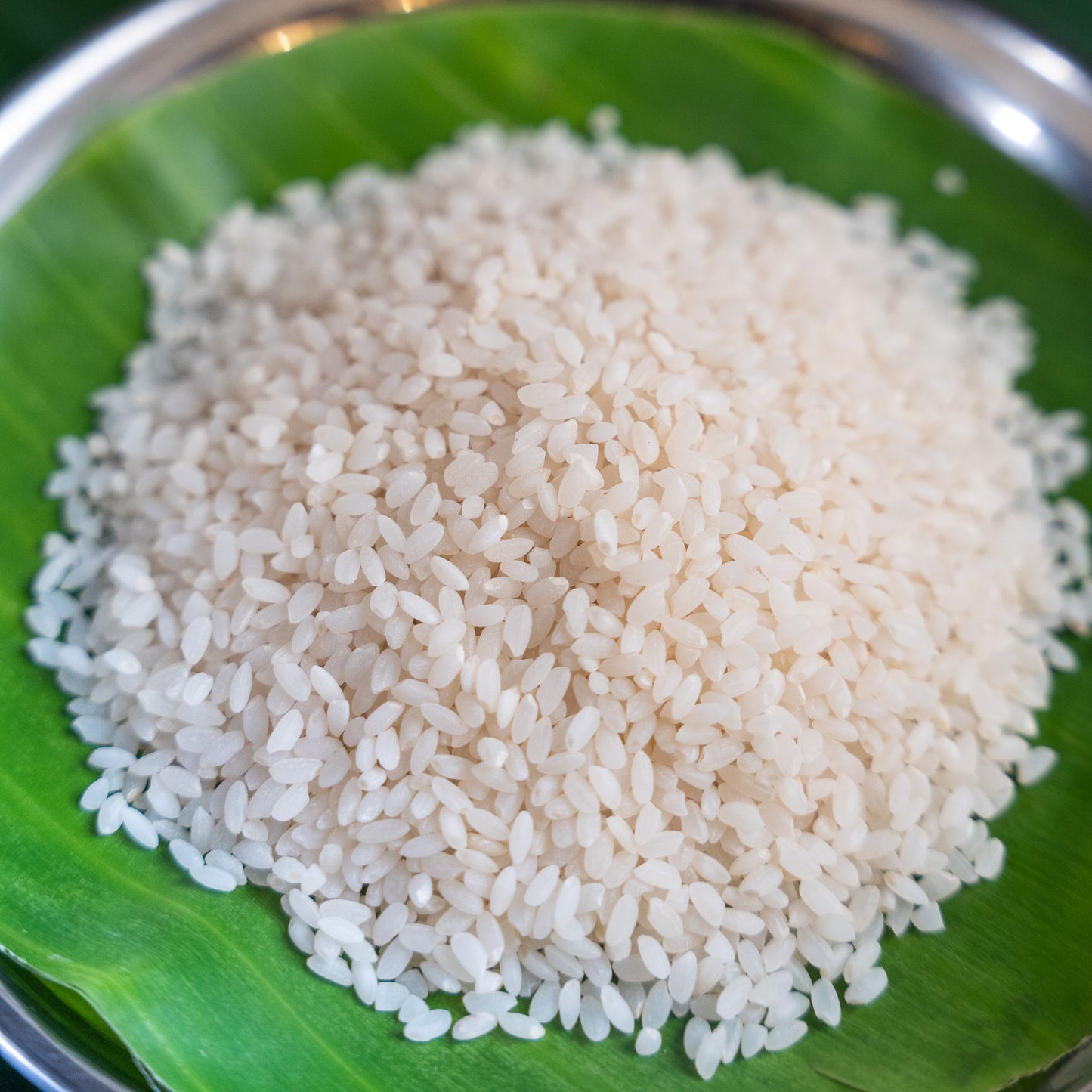Radhunipagal
