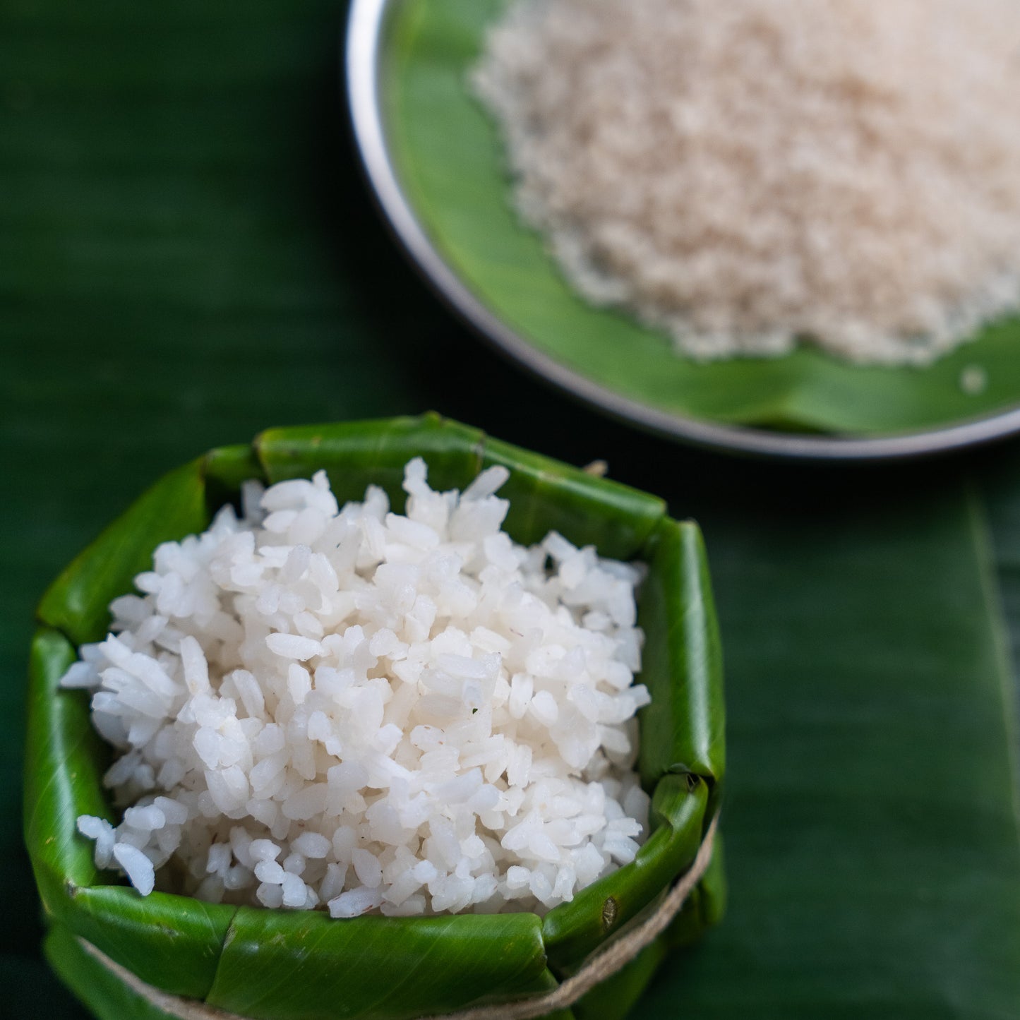 Radhunipagal
