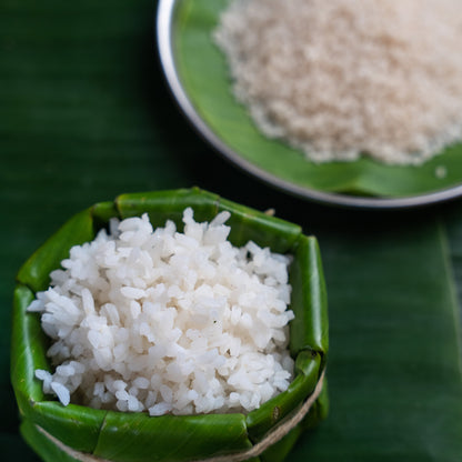 Radhunipagal