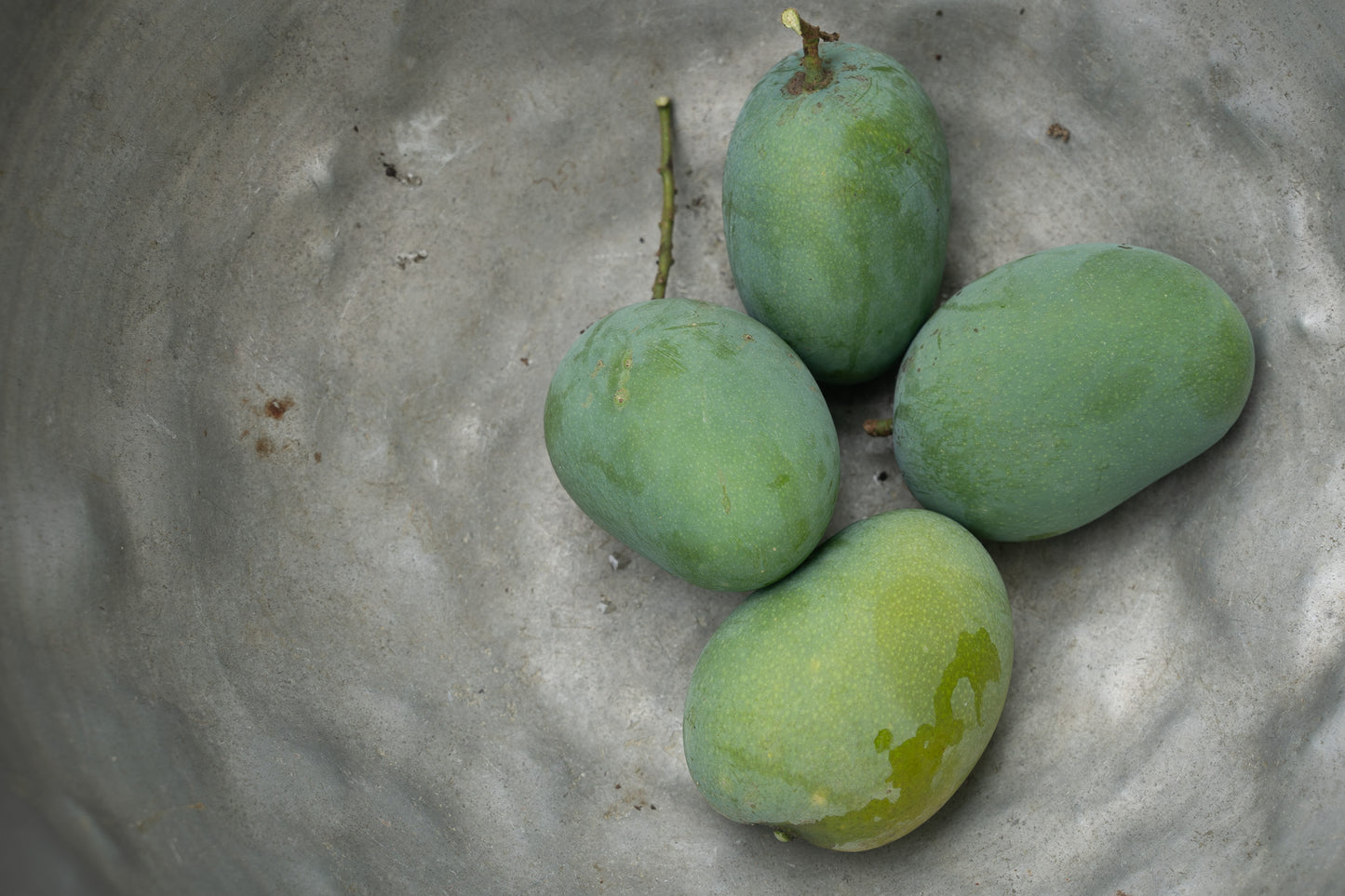 Aam Shorshe