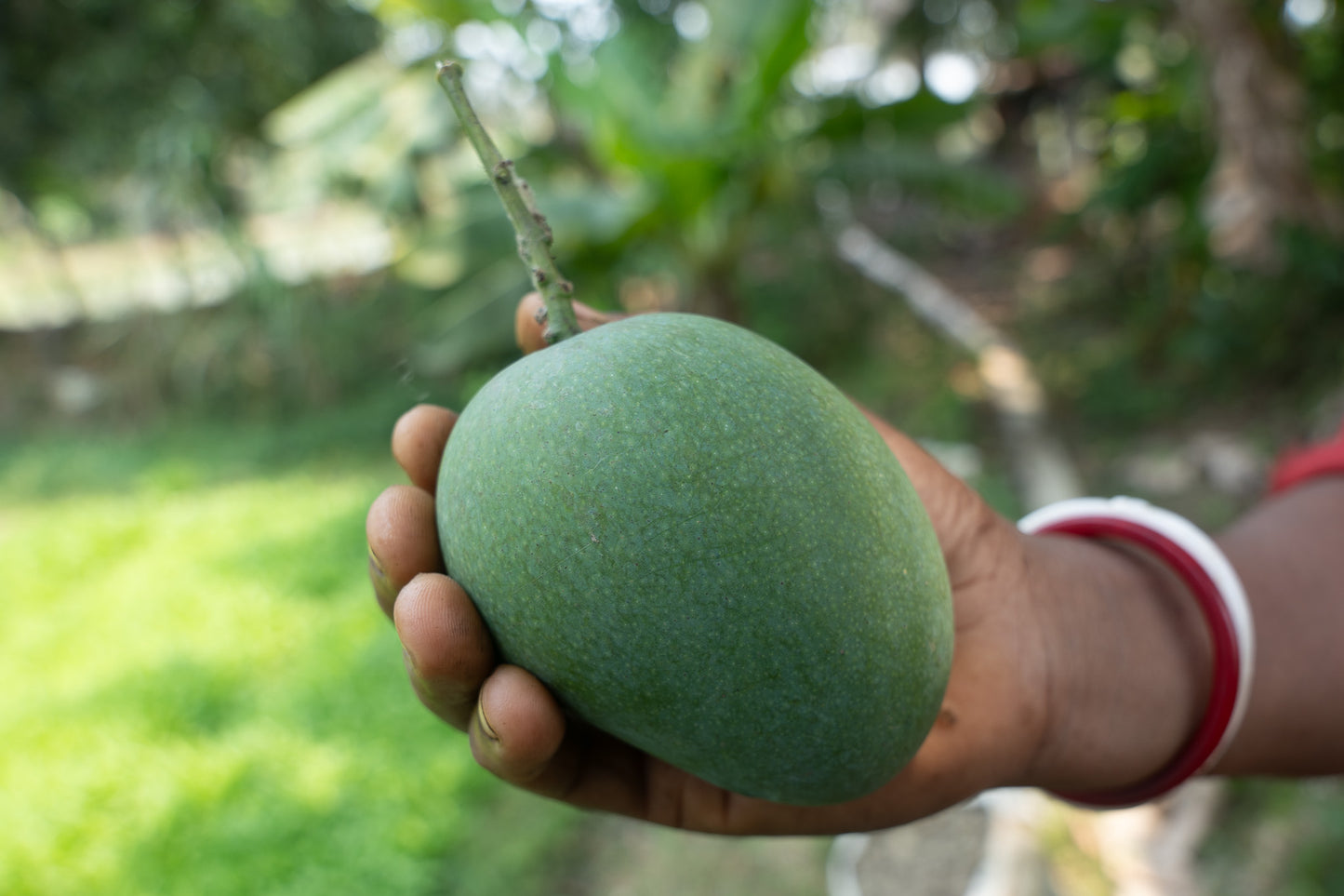 Aam'er Aachar (tok . jhal . misti)