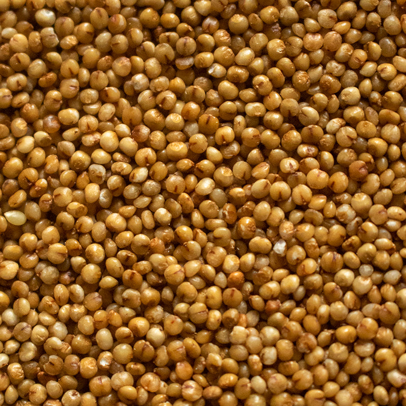 Kodo Millet Amar Khamar kodo-millet-amar-khamar