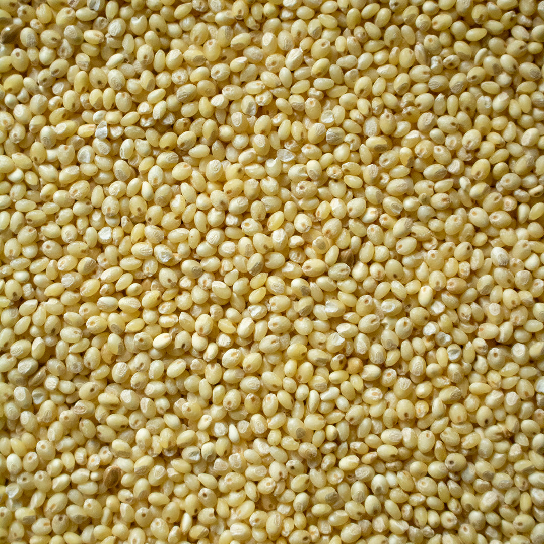 Proso Proso Millet – amar khamar