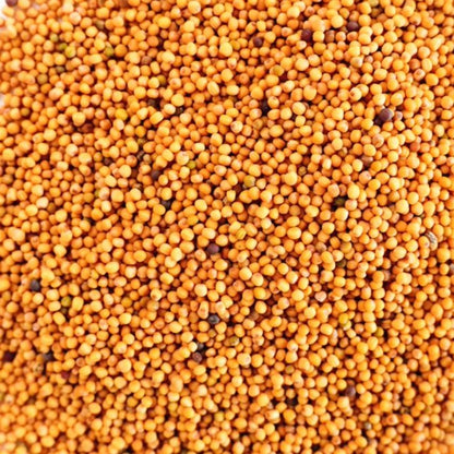 White mustard seeds natural organic amar khamar bengali food spice